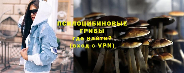 мдпв Богородицк