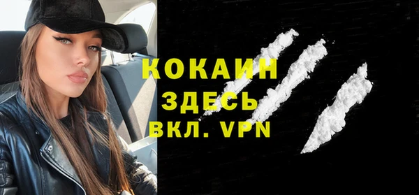 мдпв Богородицк