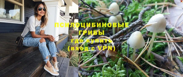 метамфетамин Богданович
