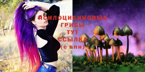 apvp Беломорск
