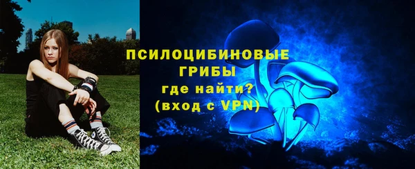 apvp Беломорск