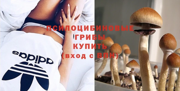 герыч Белокуриха