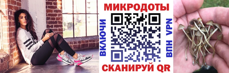 Галлюциногенные грибы мухоморы Оха